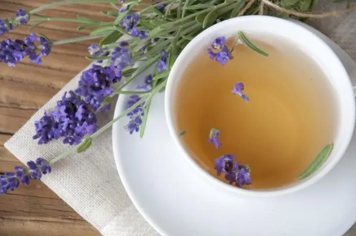 Lavender
