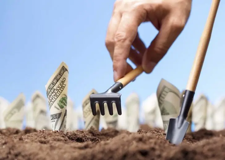 American dollars grow from the ground - carrying the investments