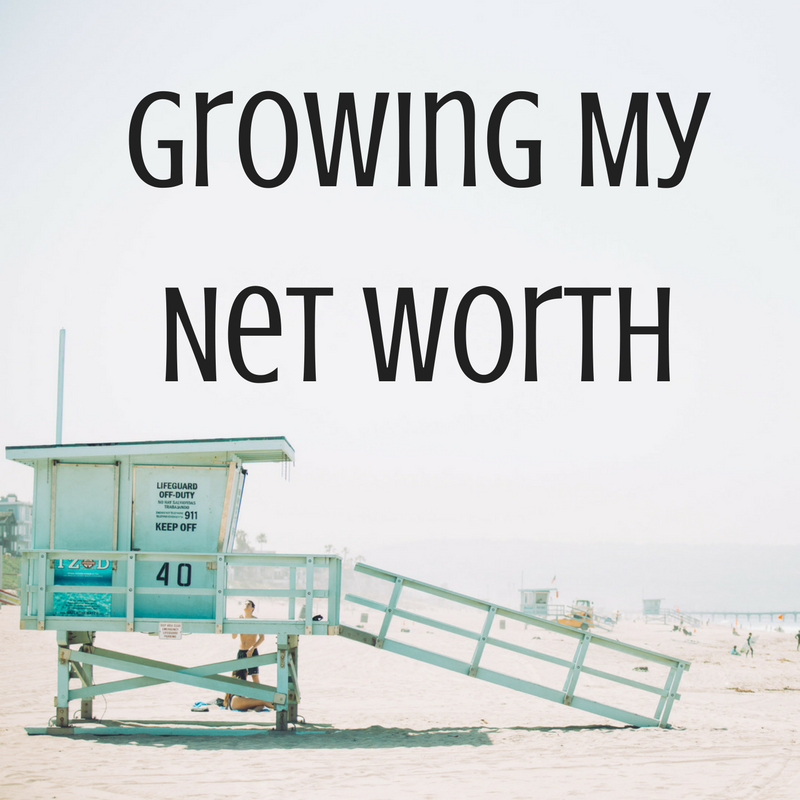 growing my net worth