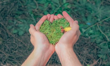 person-holding-green-grains-1230157